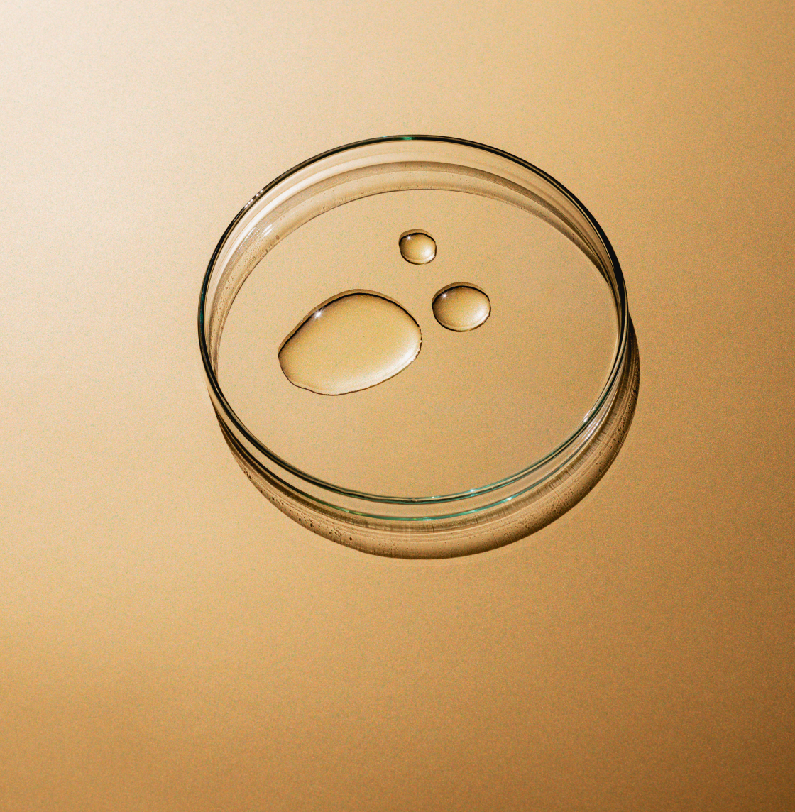Can You Reverse Aging in a Skin Cell?