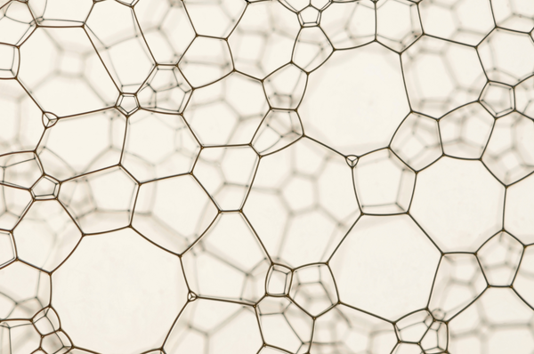 Science with Purpose